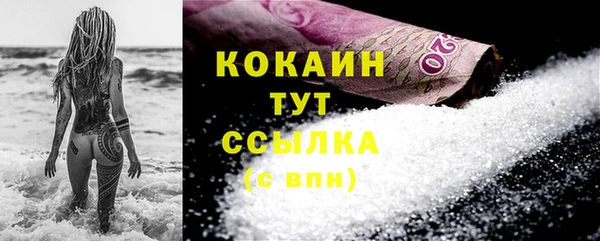 стаф Аркадак