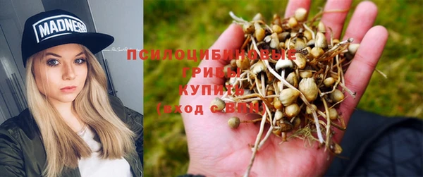 бошки Балахна